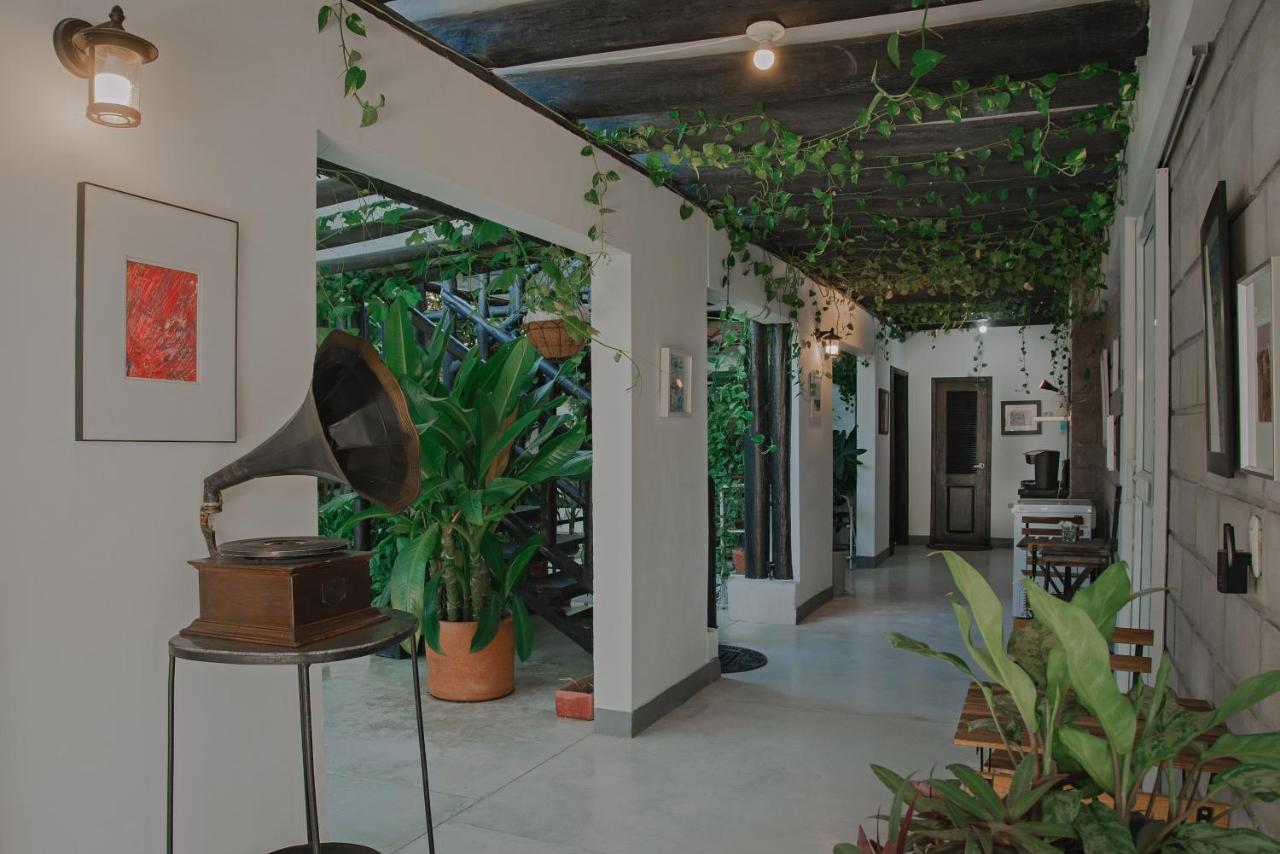 Hotel Casa Ines Santa Marta  Zewnętrze zdjęcie