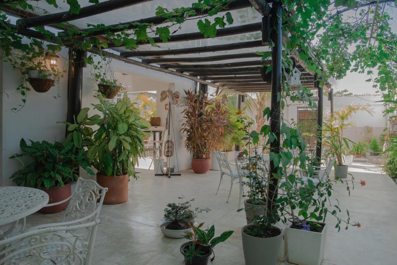 Hotel Casa Ines Santa Marta  Zewnętrze zdjęcie