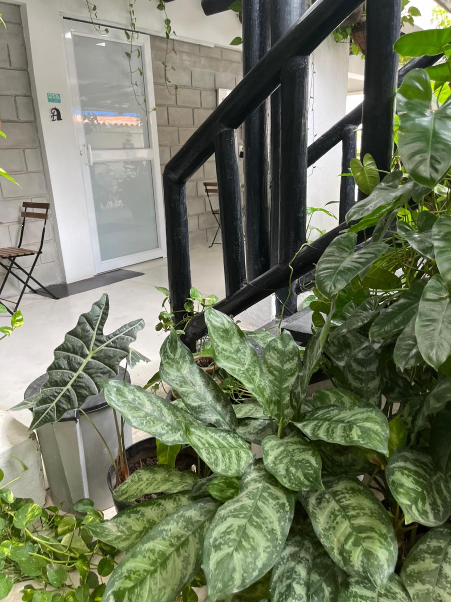 Hotel Casa Ines Santa Marta  Zewnętrze zdjęcie