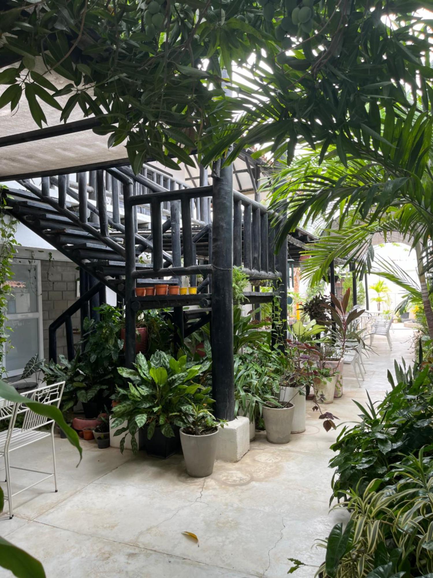 Hotel Casa Ines Santa Marta  Zewnętrze zdjęcie
