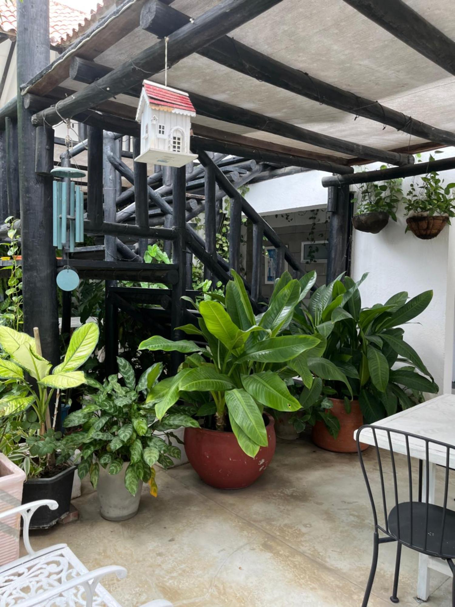 Hotel Casa Ines Santa Marta  Zewnętrze zdjęcie