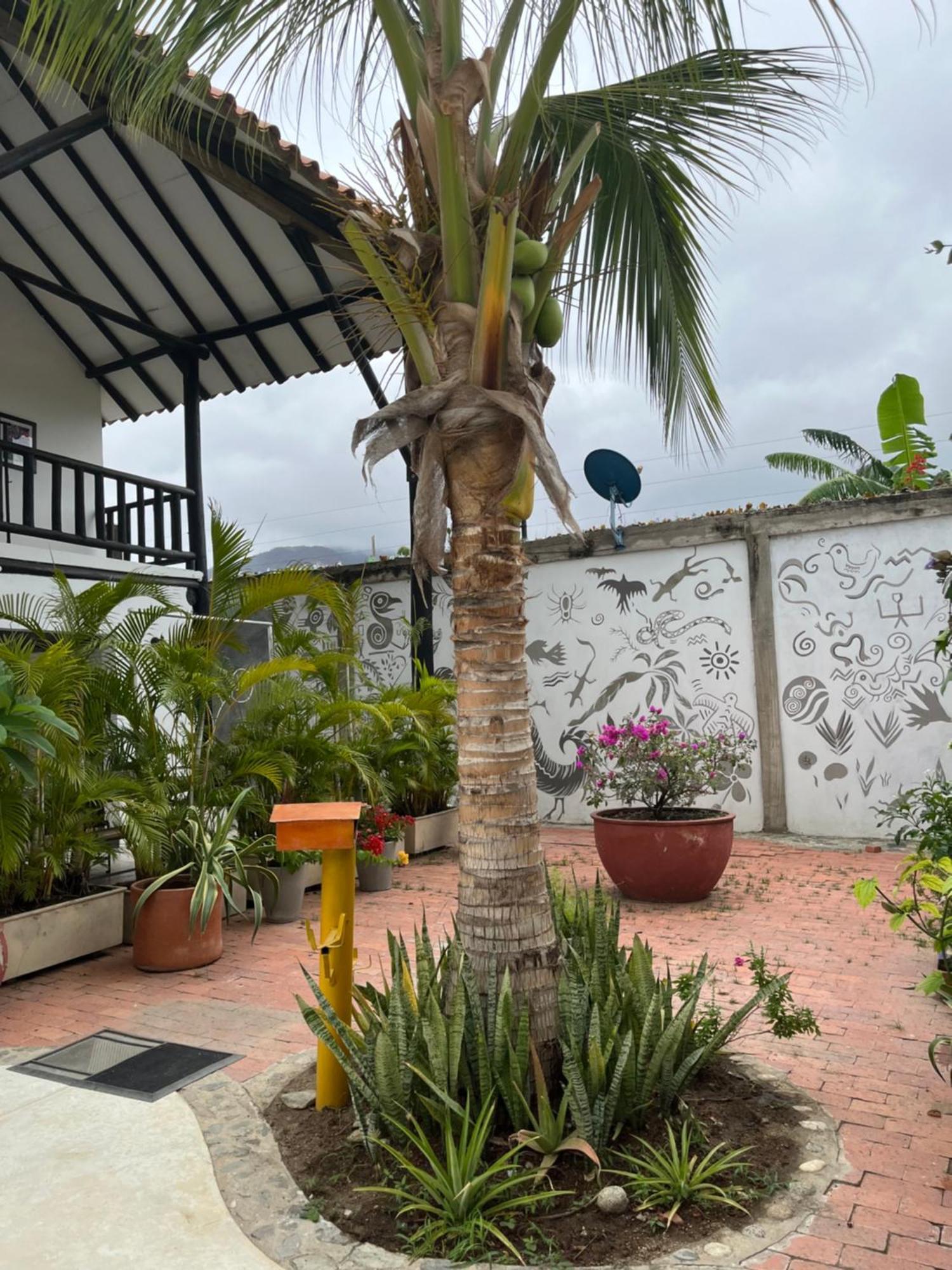Hotel Casa Ines Santa Marta  Zewnętrze zdjęcie