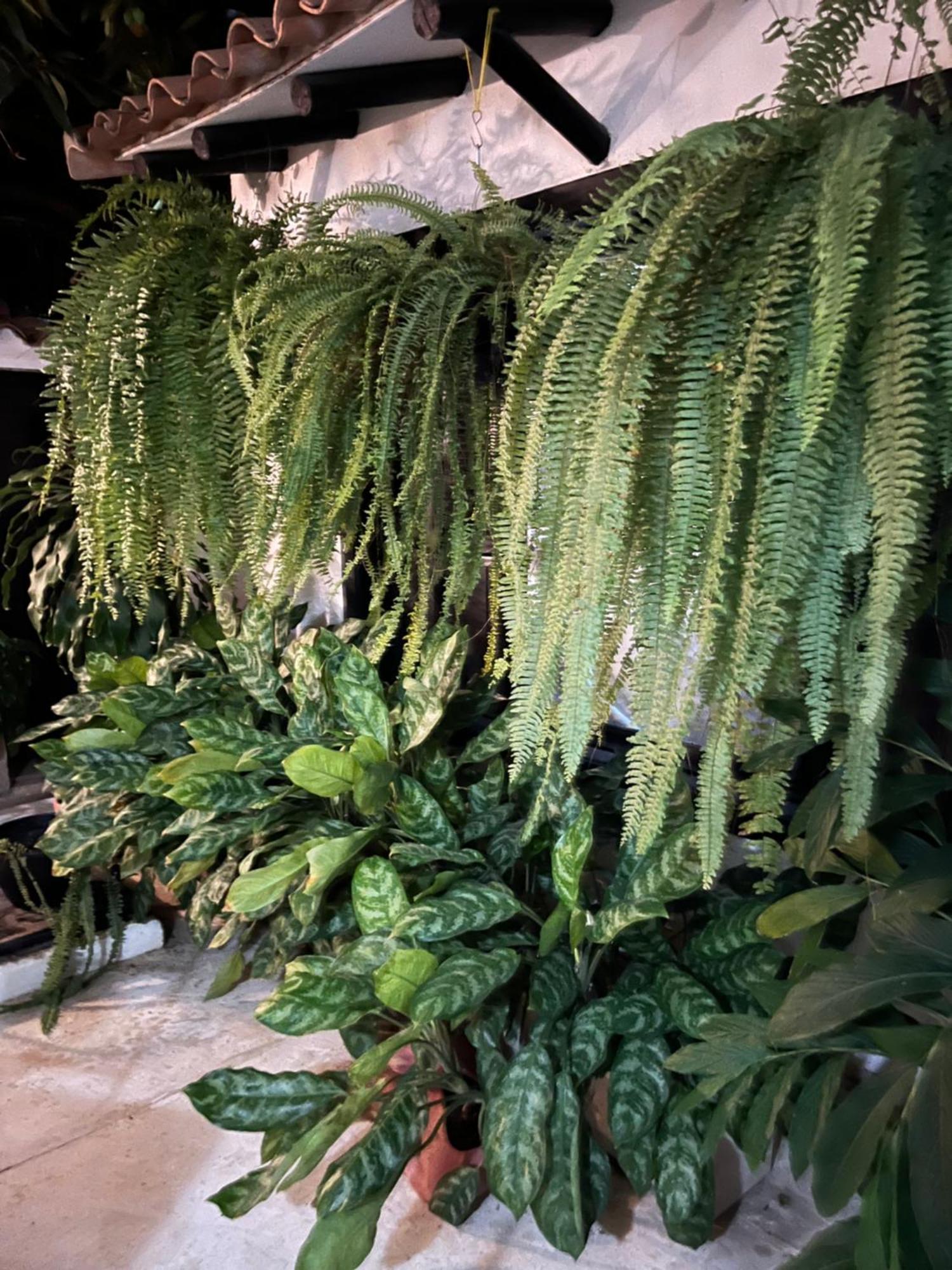 Hotel Casa Ines Santa Marta  Zewnętrze zdjęcie